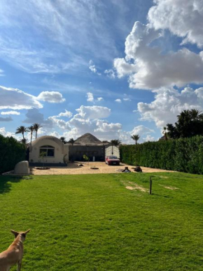 Sahura Pyramid View Inn